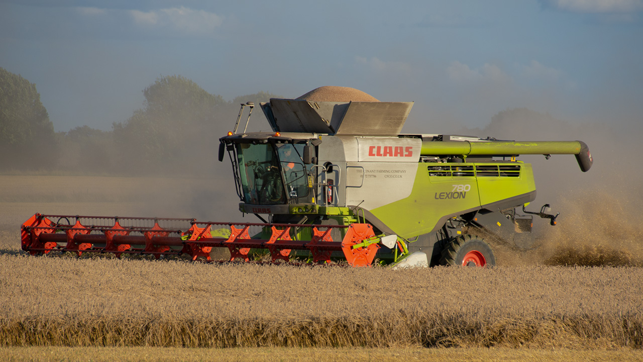 Claas 780 Combine Rockingham - August 2019