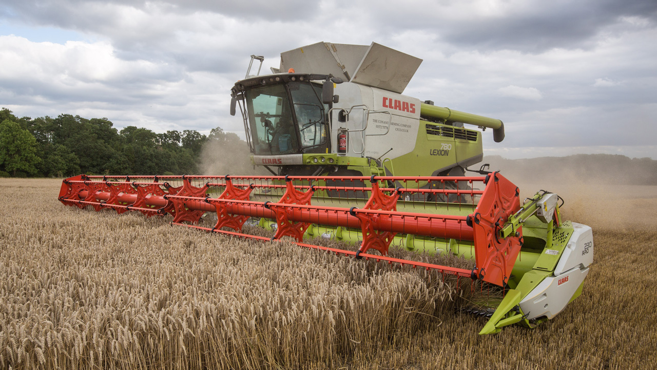Claas Lexion 780 Combine Harvesting Wheat