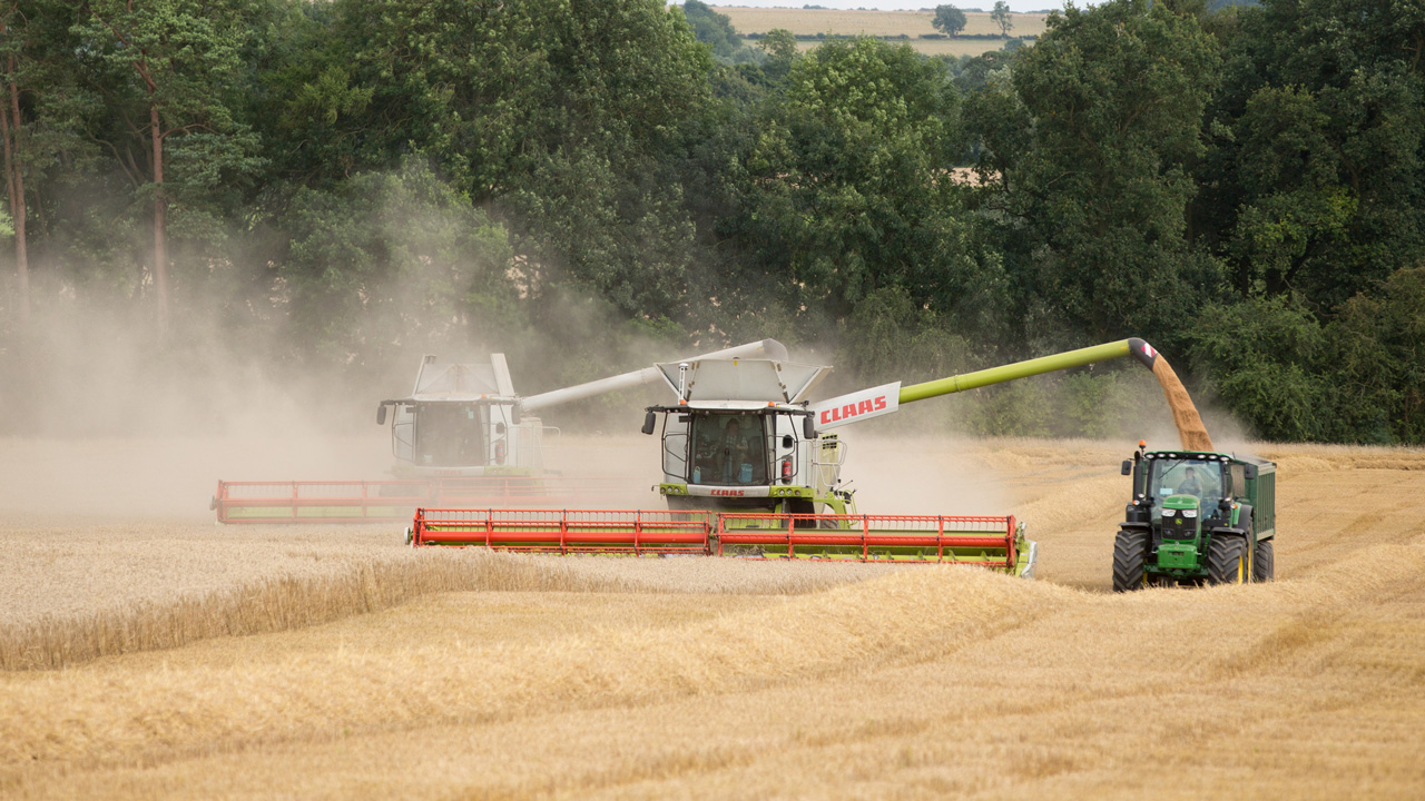 Claas Lexion 780 Combine Unloading