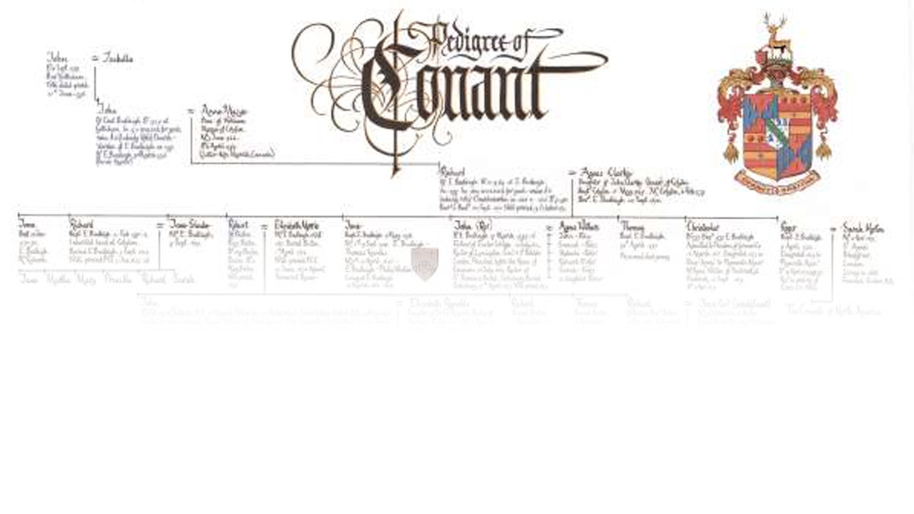 Background slide family tree